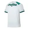 D05A06B56F157E9E29Eb09Bcea9906Cf Men'S Authentic Se Palmeiras Away Soccer Jersey Shirt 2023/24 - Top Soccer Jerseys: Fan &Amp; Player Versions | Goalkits.net